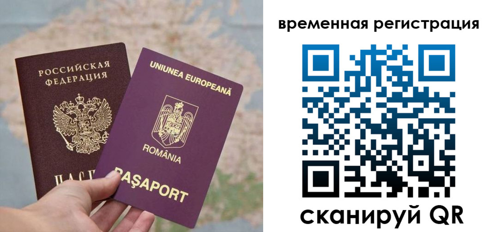 временная прописка в Домодедово